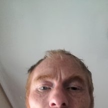gingerspark